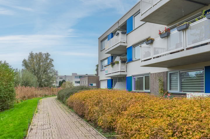 Foto 6 van De Werf 5