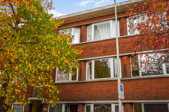 Foto 3 van Vreeswijkstraat 589