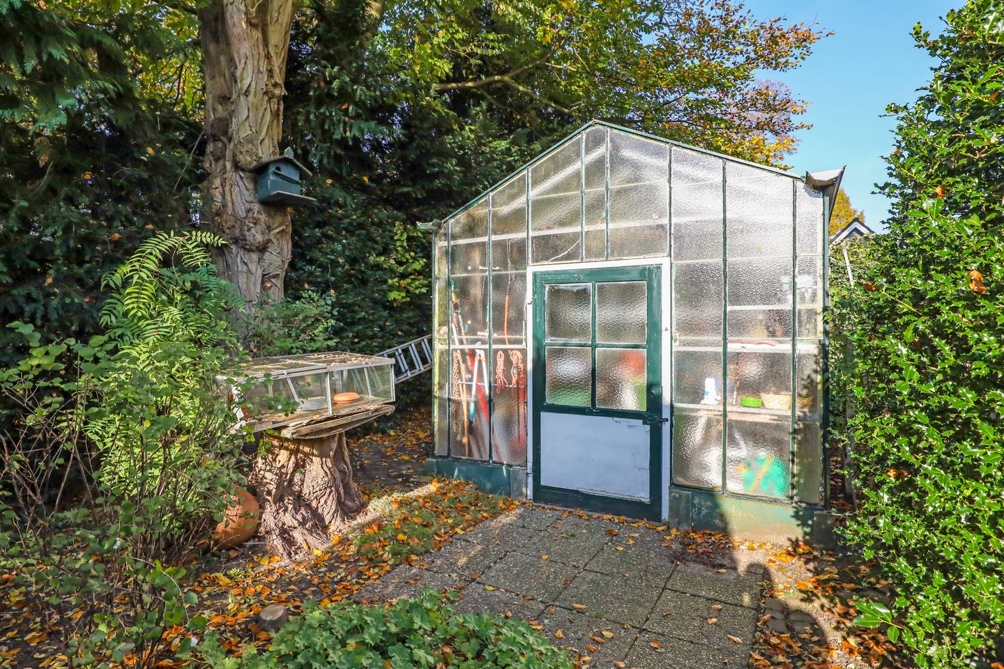 Foto 50 van Midden-Eng 55