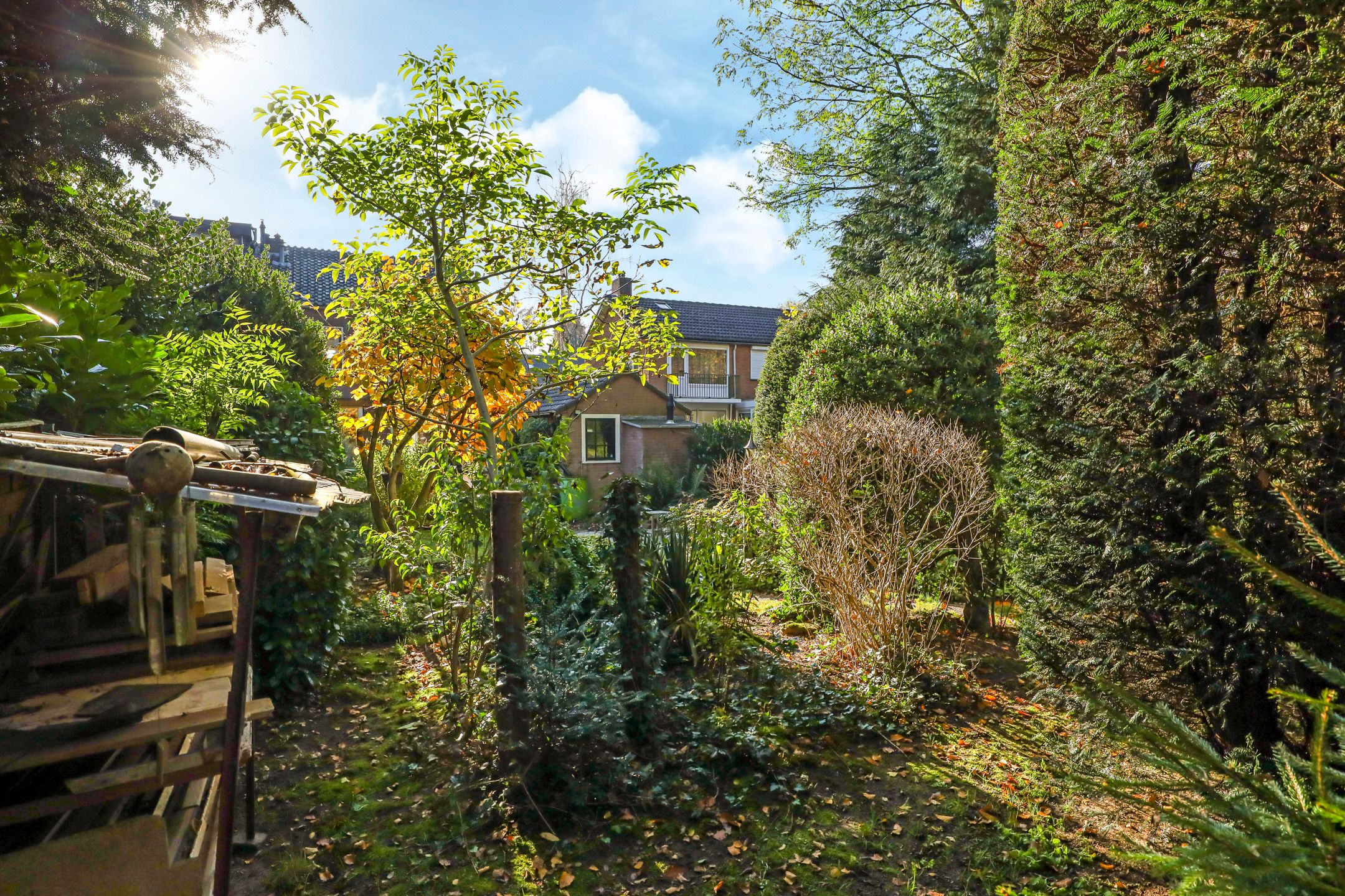 Foto 51 van Midden-Eng 55