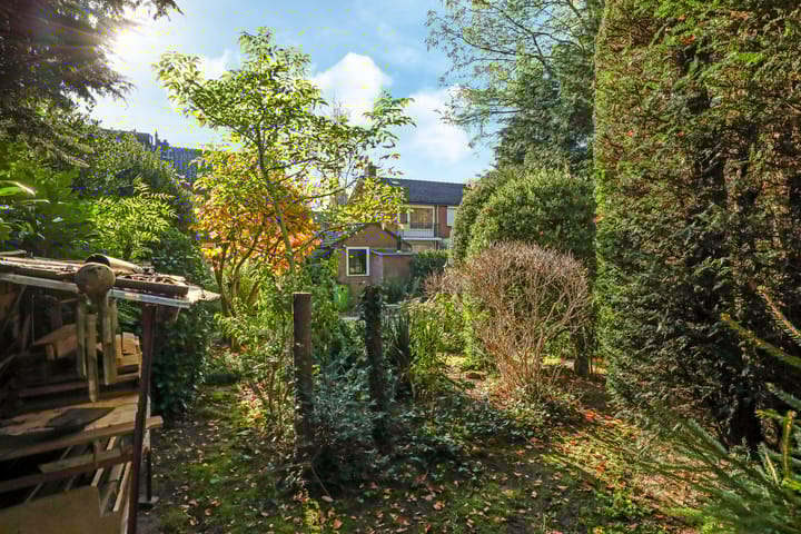 Foto 51 van Midden-Eng 55