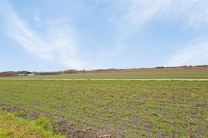 Bekijk foto 30 van Zelzaetseweg 12