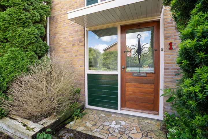 Foto 4 van Dreesstraat 1