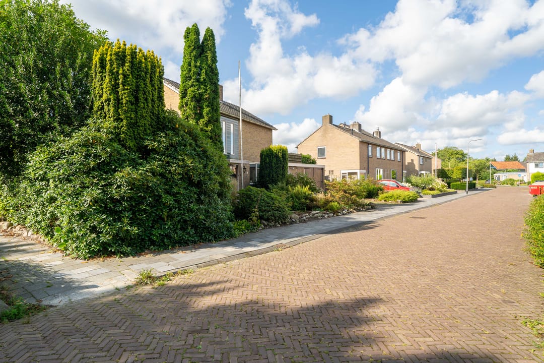 Foto 41 van Dreesstraat 1