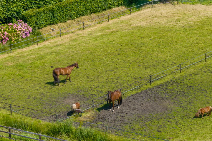 Bekijk foto 17 van Dr. Welfferweg 86-A