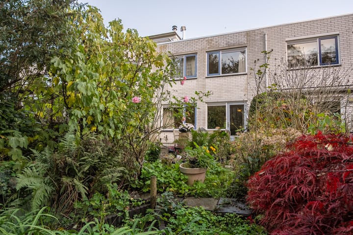 Foto 3 van Ir. van der Sluijsplantsoen 13