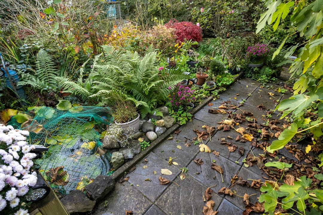 Foto 17 van Ir. van der Sluijsplantsoen 13