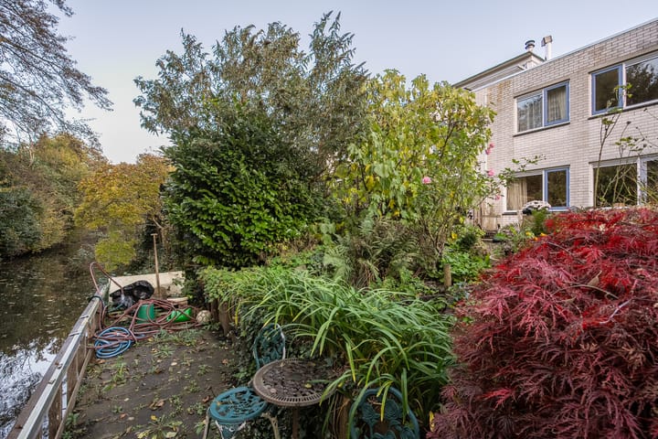 Photo 21 of Ir. van der Sluijsplantsoen 13