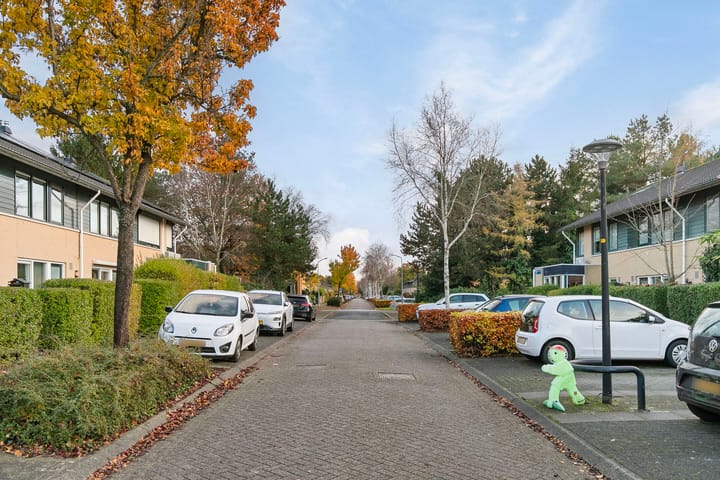 Foto 27 van Februaristraat 87