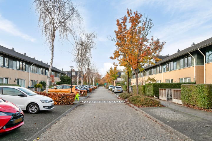 Foto 28 van Februaristraat 87