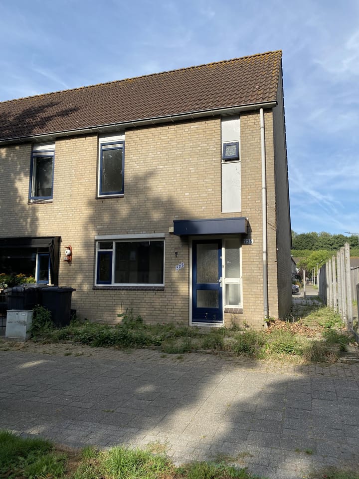 Foto 2 van Loevesteinsingel 225