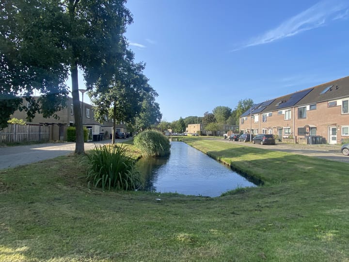 Foto 14 van Loevesteinsingel 225