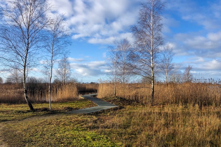 Bekijk foto 49 van Kolgans 2