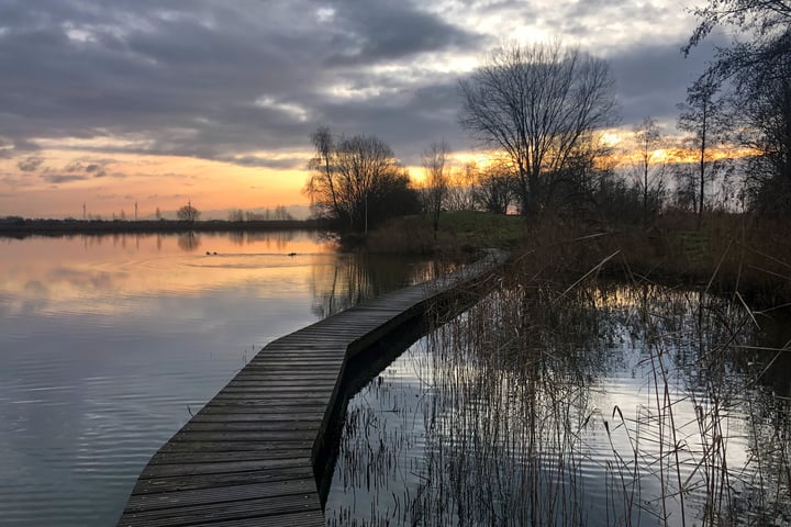 Bekijk foto 50 van Kolgans 2