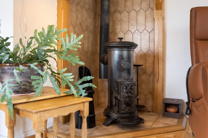 Foto 6 van Vlierbessenlaan 65