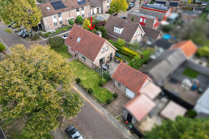 Foto 25 van Vlierbessenlaan 65