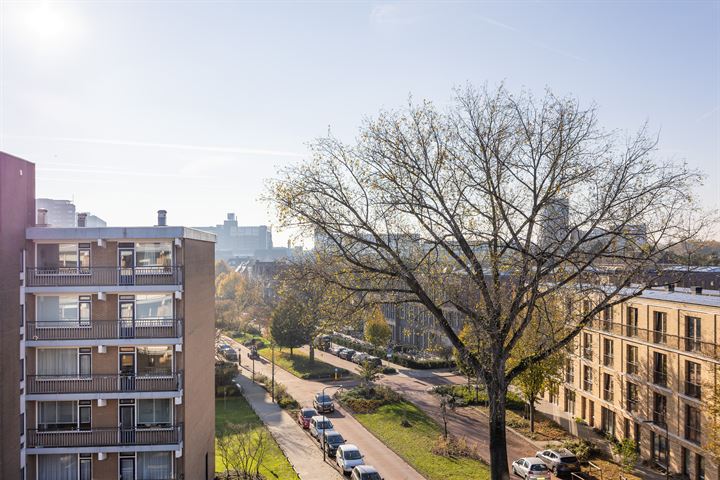 Bekijk foto 20 van Boerhaavelaan 193