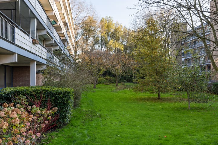 Photo 24 of Boerhaavelaan 193