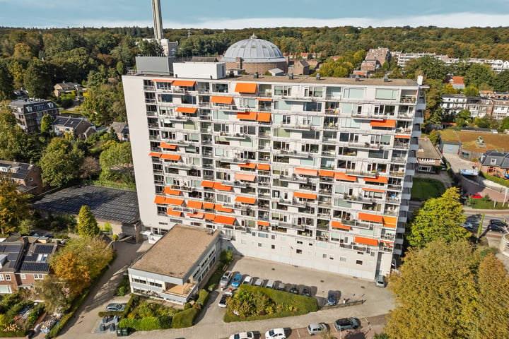 Bekijk foto 1 van Utrechtseweg 145-51