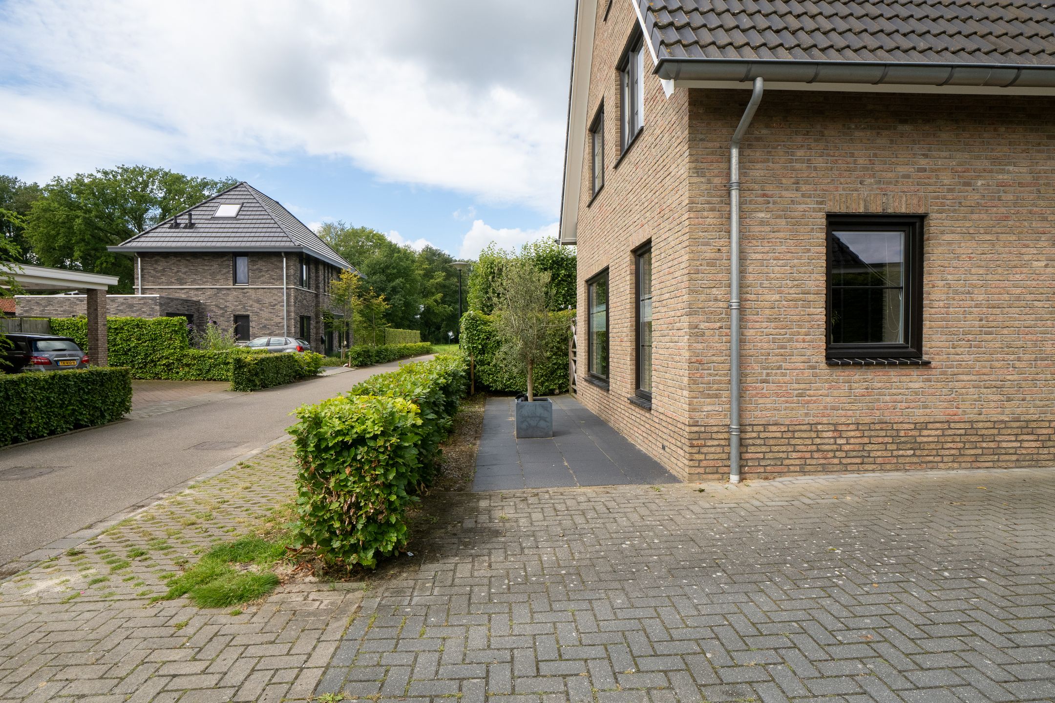 Photo 39 of Braam 10