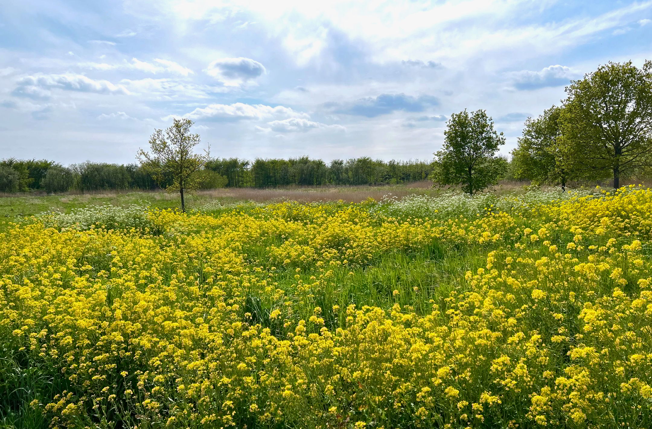 Foto 39 van De Hoge Bogerd 5