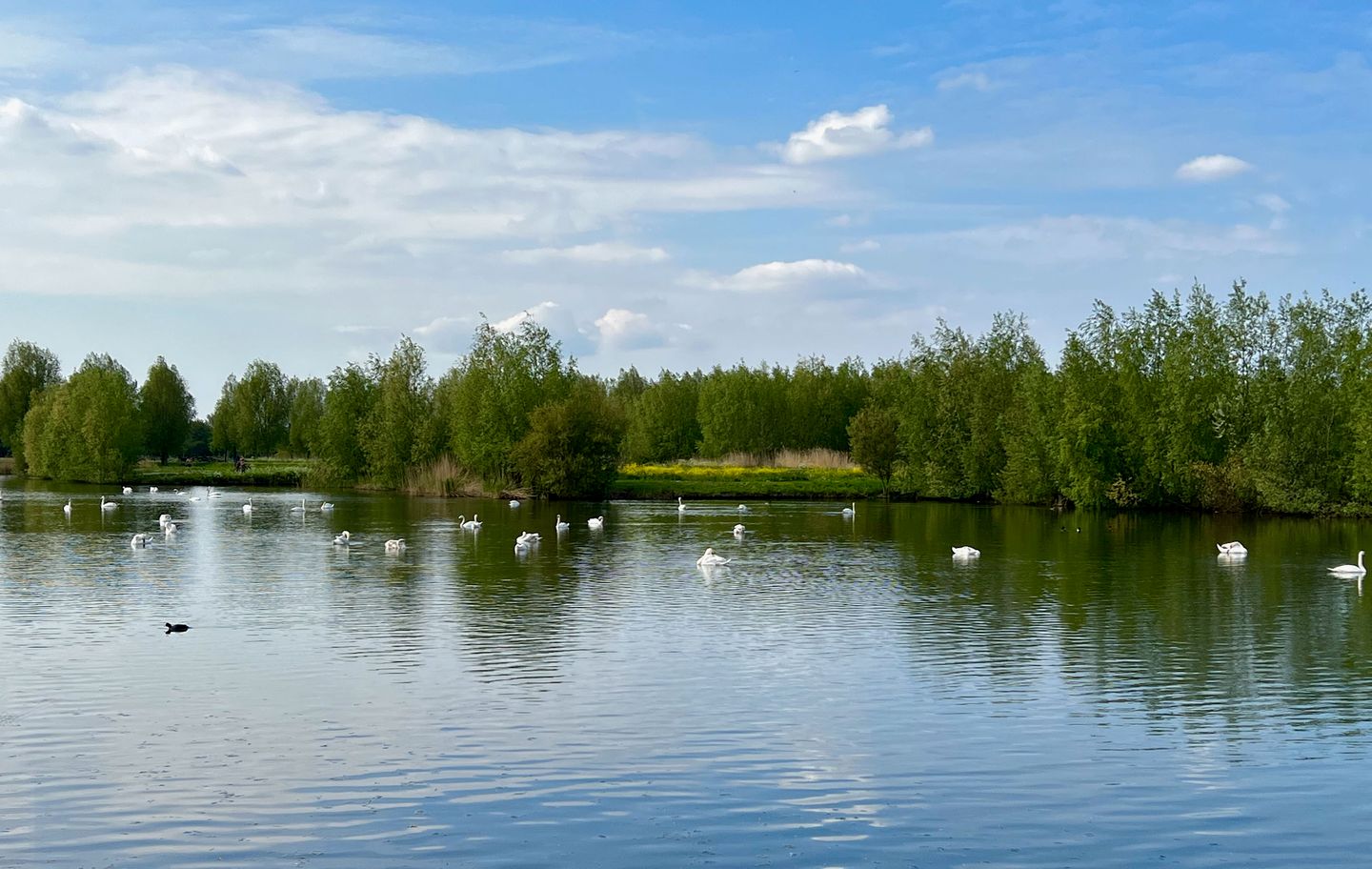 Foto 40 van De Hoge Bogerd 5