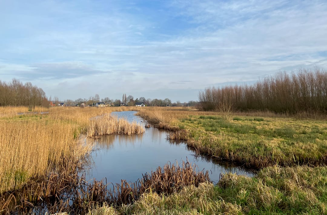 Foto 41 van De Hoge Bogerd 5