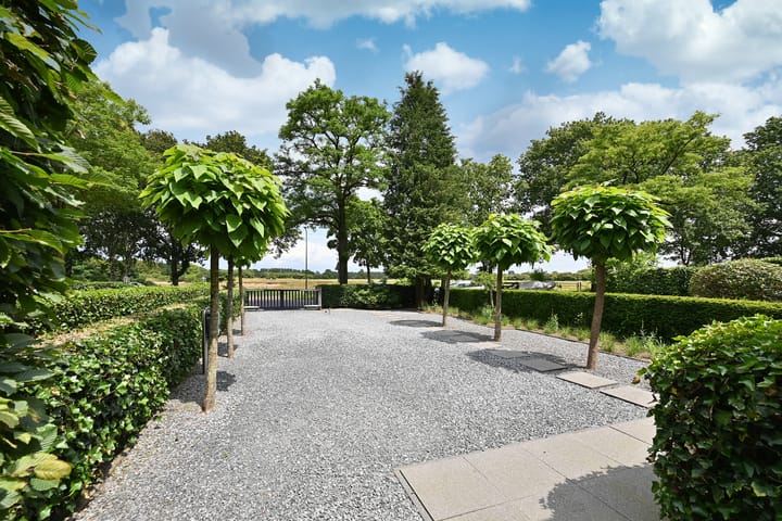 Foto 2 van Meentzoom 65