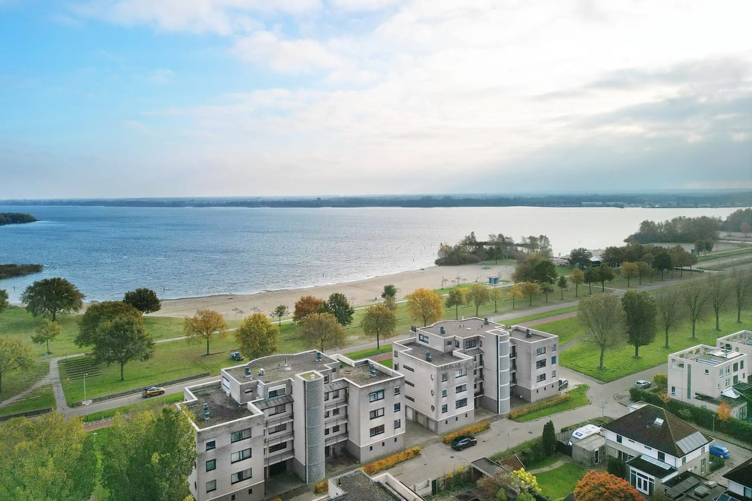 Foto 1 van Sterrekruid 141