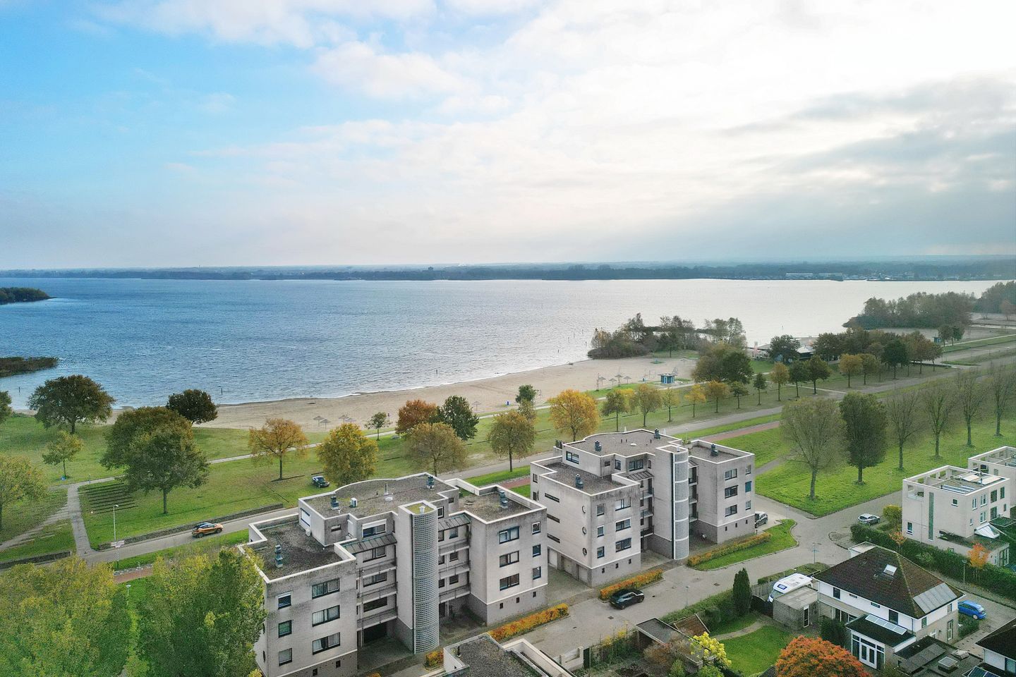 Foto 1 van Sterrekruid 141