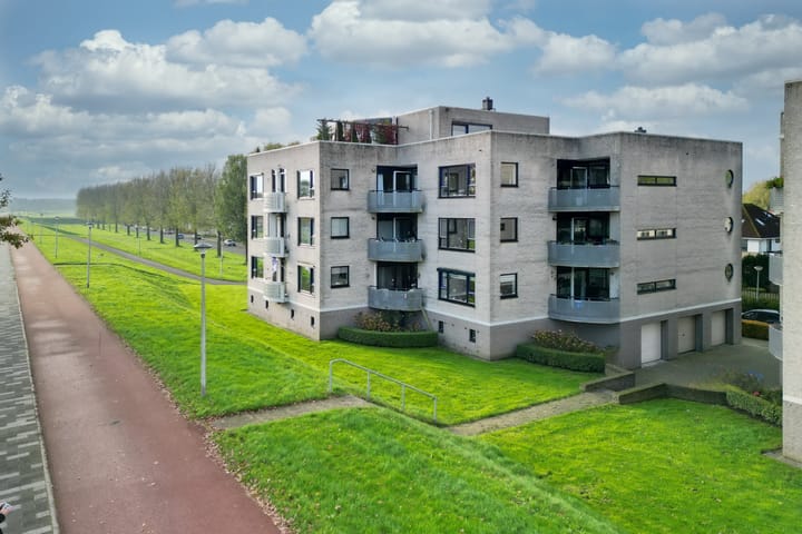 Foto 2 van Sterrekruid 141