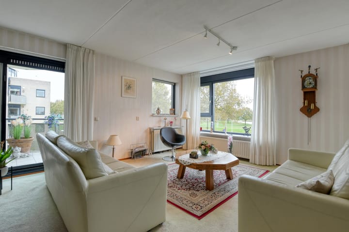 Foto 4 van Sterrekruid 141