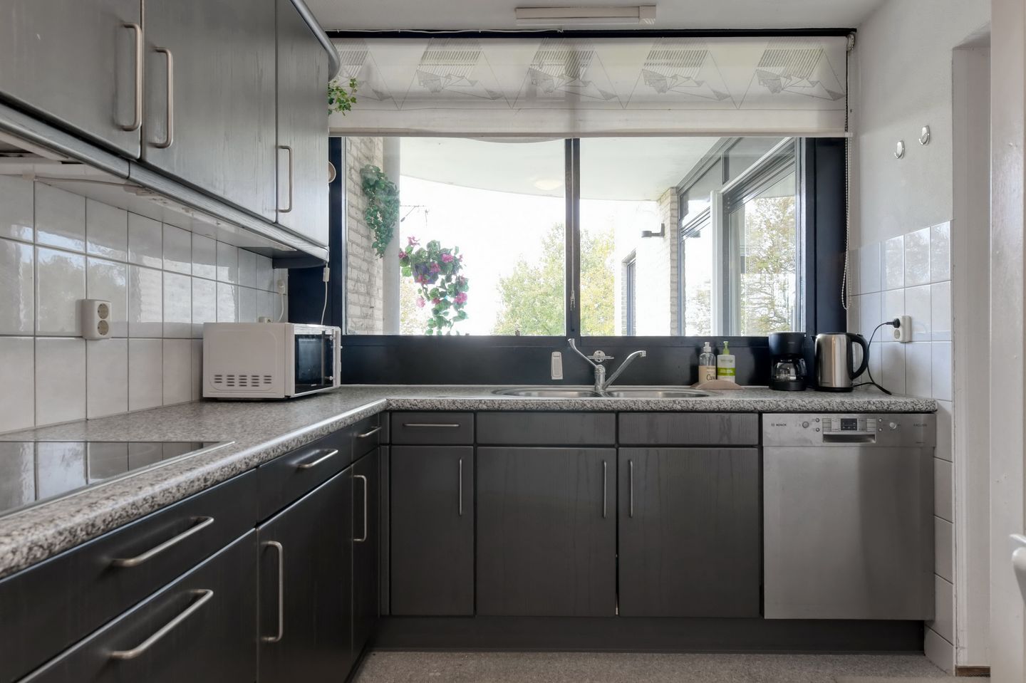 Foto 5 van Sterrekruid 141