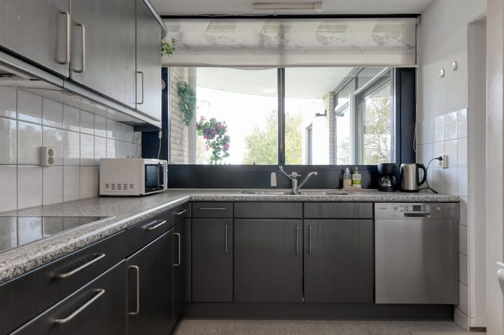 Foto 5 van Sterrekruid 141