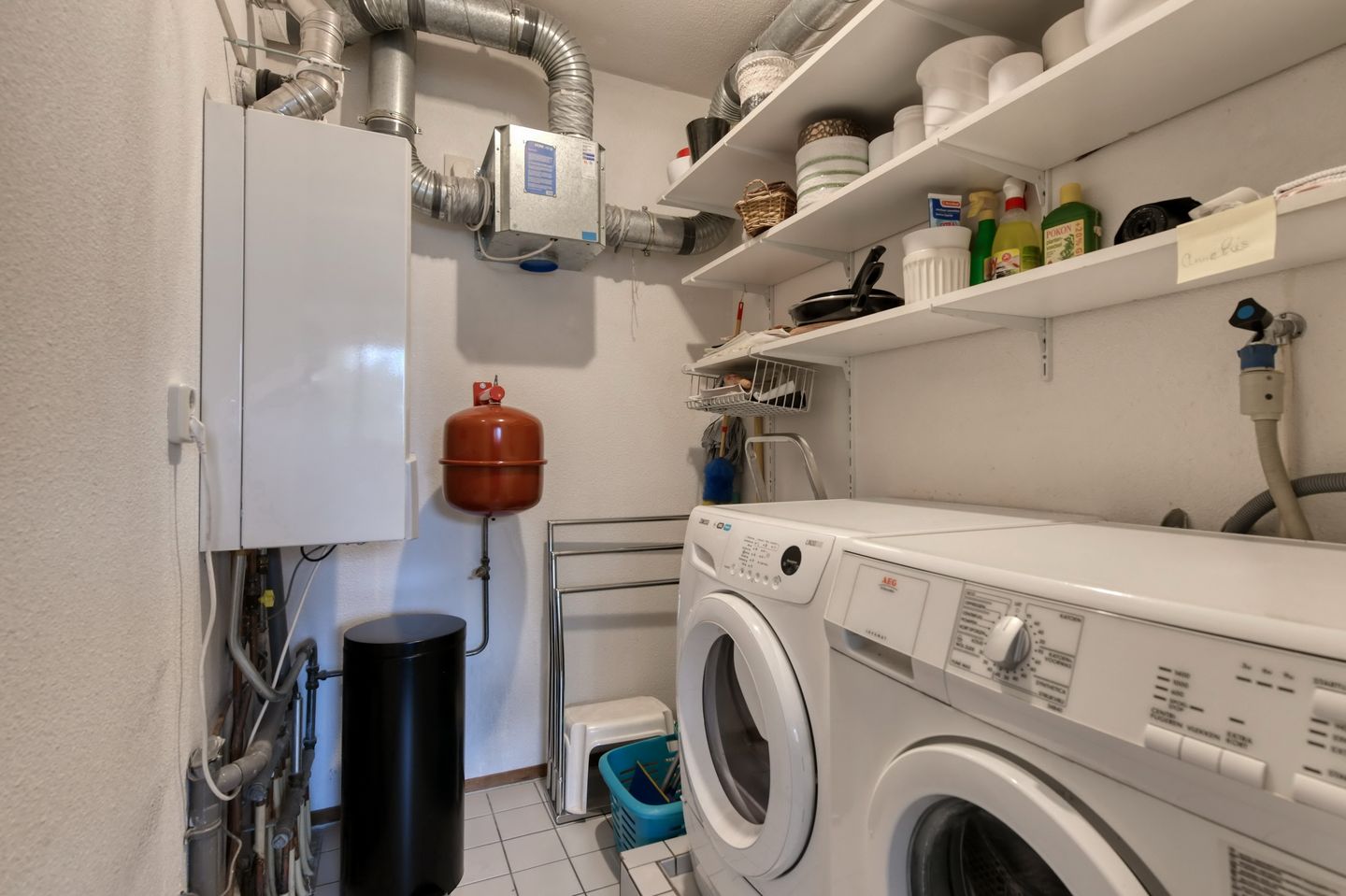 Foto 14 van Sterrekruid 141