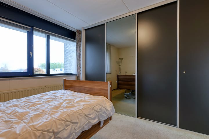 Foto 17 van Sterrekruid 141