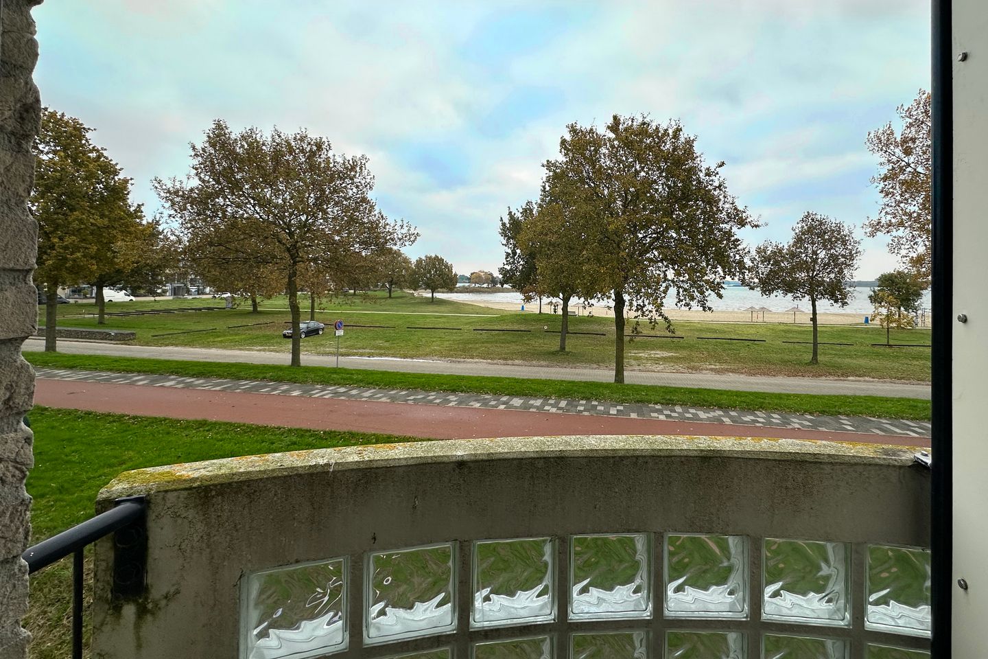 Foto 20 van Sterrekruid 141