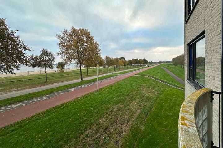 Foto 21 van Sterrekruid 141