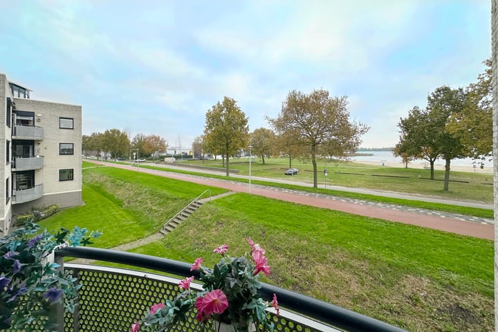 Foto 24 van Sterrekruid 141