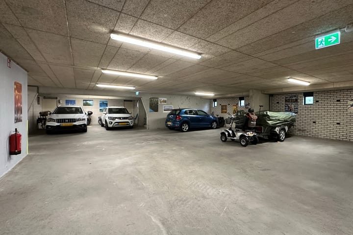 Foto 25 van Sterrekruid 141