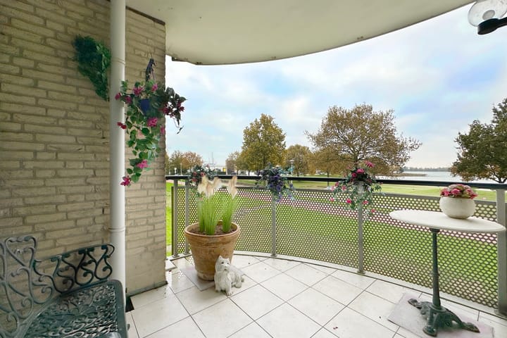 Foto 23 van Sterrekruid 141