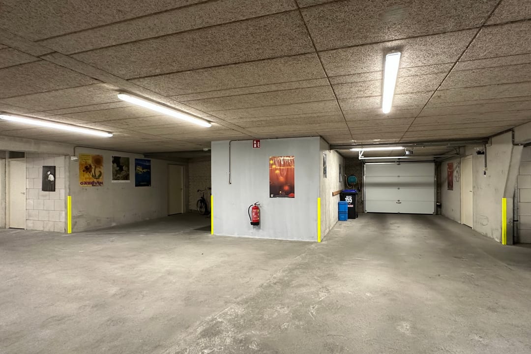 Foto 26 van Sterrekruid 141