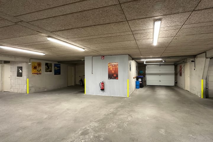 Foto 26 van Sterrekruid 141