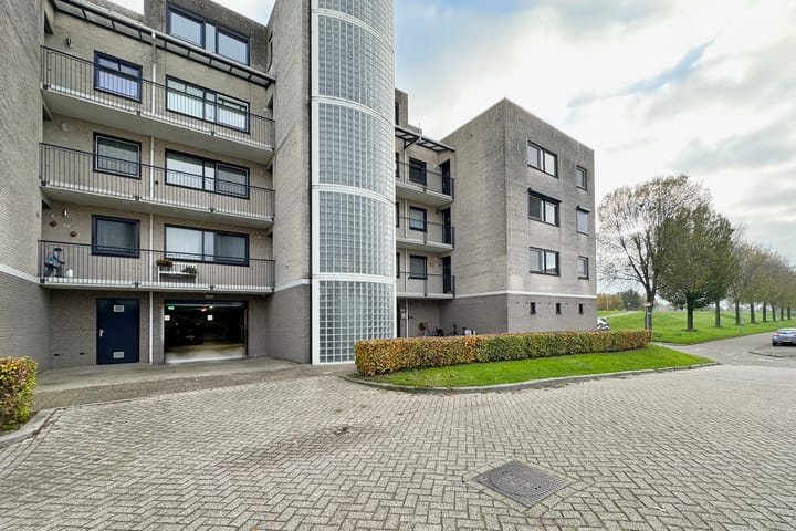 Foto 28 van Sterrekruid 141