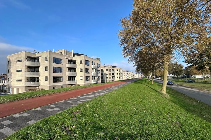 Foto 30 van Sterrekruid 141