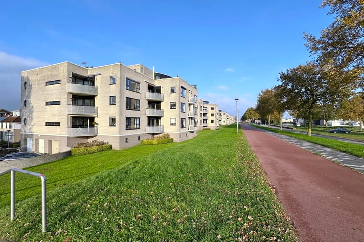 Foto 29 van Sterrekruid 141