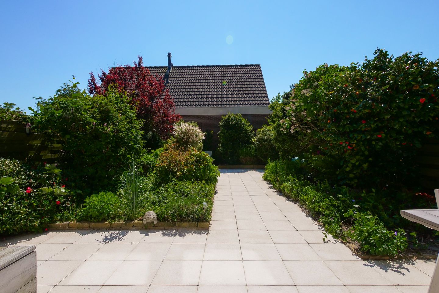 Foto 29 van Wierbalg 1302