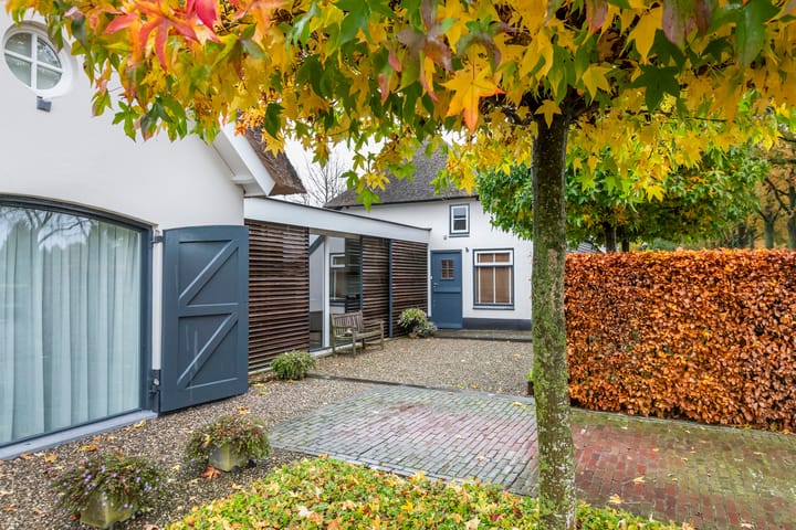 Foto 8 van Haneman 1