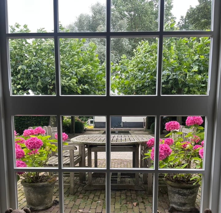 Foto 50 van Haneman 1