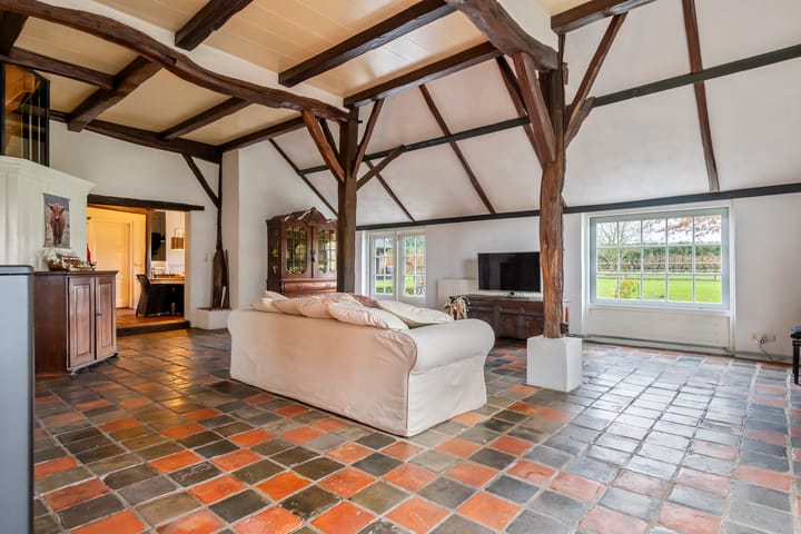 Foto 51 van Haneman 1